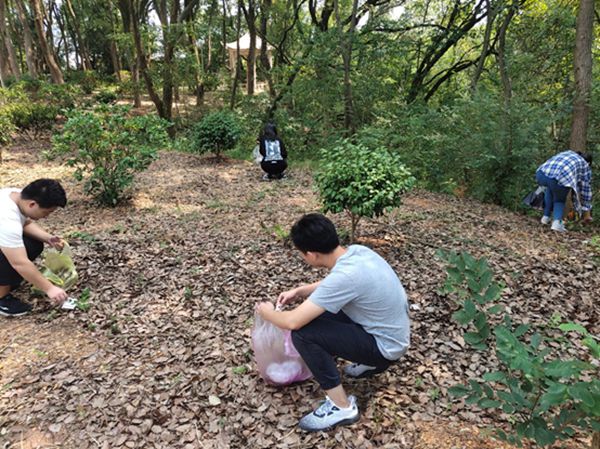 1569232079960546.jpg 456.jpg